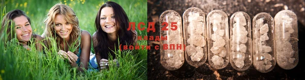 скорость Белокуриха